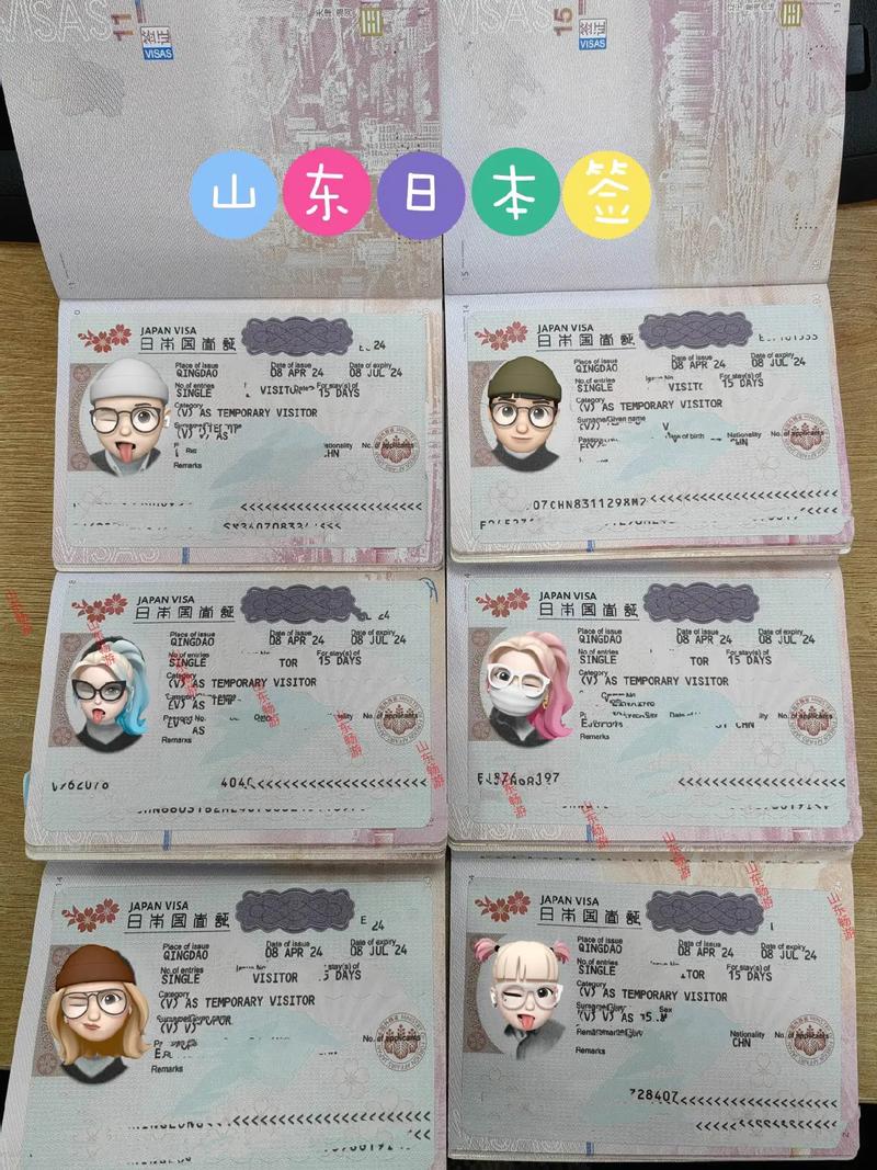 莱芜签证办理,不同国家的差异与攻略